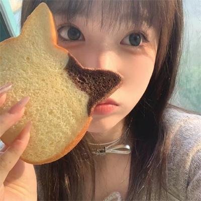 租赁猫